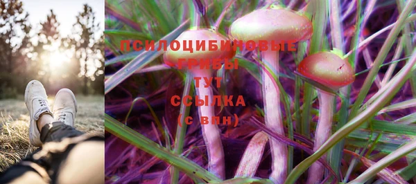 Альфа ПВП Усмань